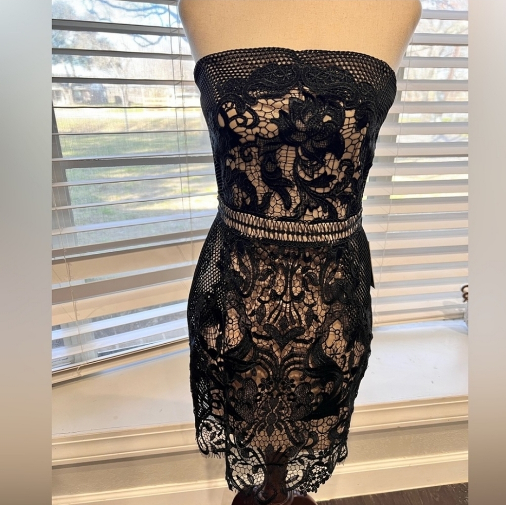 NWT Express Strapless Black Lace Over Nude Lining Dress Size 8 Exquisite Classy